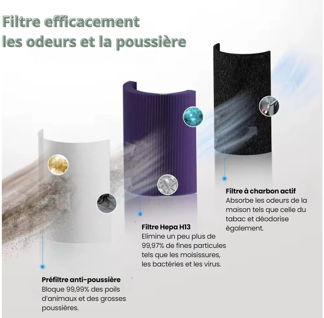 Purificateur 2 en 1 Humidificateur